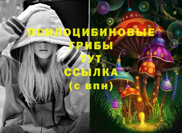 ешки Верхний Тагил