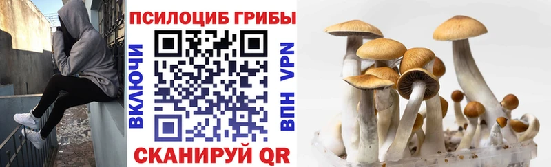 Псилоцибиновые грибы Magic Shrooms  Кандалакша 